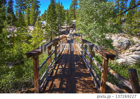 Wooden Bridge in Lush Forest with Rocky Terrain and Blue Sky 137269227