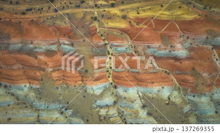 Aerial Colorful Layered Rock Formations and Desert Terrain Lava Butte Top Down 137269355