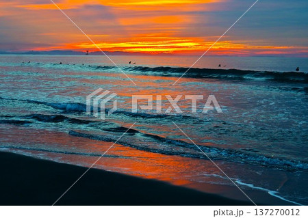 なぎさの物語・ビーチストーリー・波音のメロディーが私のこころに打ち寄せる 137270012