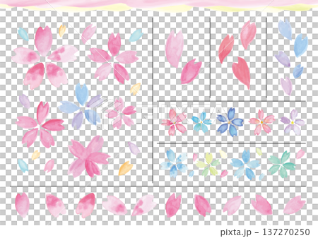 水彩手描きの桜のカラフルなあしらいパーツセット 水彩手描きの桜のカラフルなあしらいパーツセット 137270250