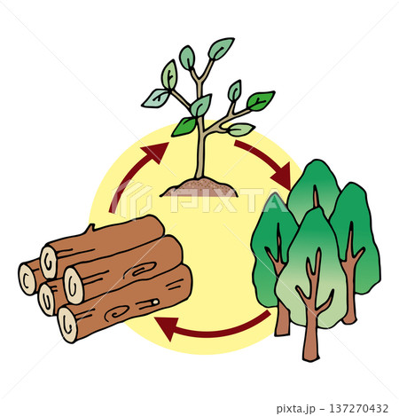 森林資源の循環・持続可能なサイクル 137270432