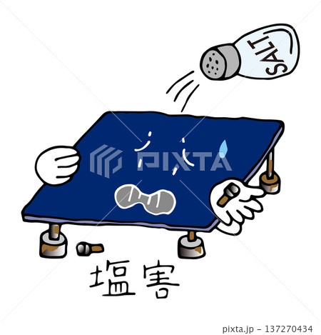 海風の塩害で劣化した太陽光発電設備 137270434