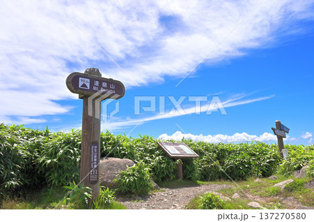 伊豆半島の伊豆山稜線歩道 夏の達磨山山頂 コピースペース 伊豆半島の伊豆山稜線歩道 夏の達磨山山頂 コピースペース 137270580