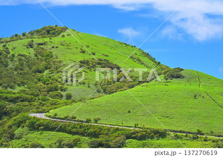 伊豆半島の伊豆山稜線歩道 小達磨山より望む夏の達磨山と西伊豆スカイライン 伊豆半島の伊豆山稜線歩道 小達磨山より望む夏の達磨山と西伊豆スカイライン 137270619