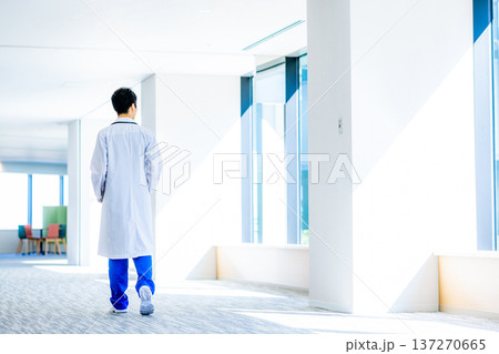 病院で働く若い医師 病院で働く若い医師 137270665