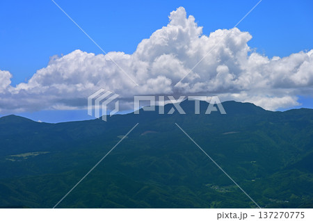 伊豆半島　伊豆山稜線歩道の達磨山より望む雲わく天城山 137270775