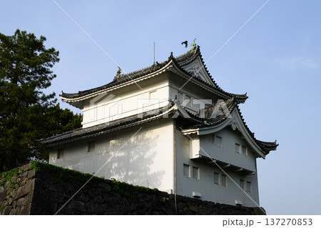 名古屋城の東南隅櫓 日本の名城 名古屋城の東南隅櫓 日本の名城 137270853
