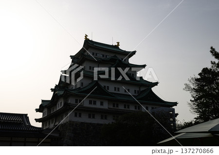 名古屋城の天守閣　日本の名城 137270866