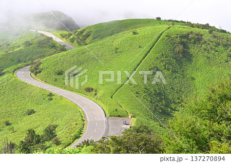 伊豆半島の伊豆山稜線歩道 達磨山より霧が晴れる夏の稜線歩道と西伊豆スカイライン 伊豆半島の伊豆山稜線歩道 達磨山より霧が晴れる夏の稜線歩道と西伊豆スカイライン 137270894