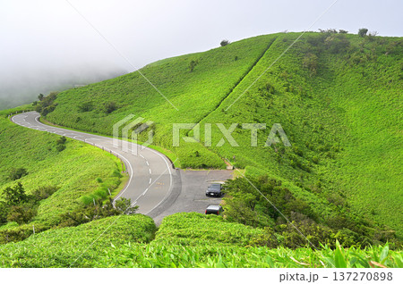 伊豆半島の伊豆山稜線歩道 達磨山より夏の稜線歩道と西伊豆スカイライン 伊豆半島の伊豆山稜線歩道 達磨山より夏の稜線歩道と西伊豆スカイライン 137270898