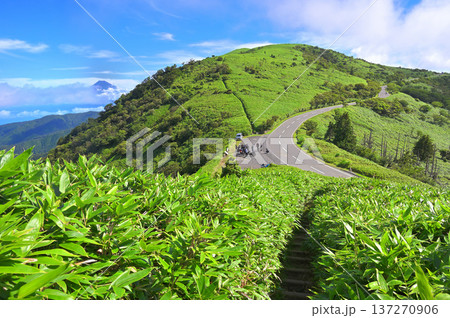 夏の伊豆半島 伊豆山稜線歩道の達磨山と西伊豆スカイラインと富士山 夏の伊豆半島 伊豆山稜線歩道の達磨山と西伊豆スカイラインと富士山 137270906