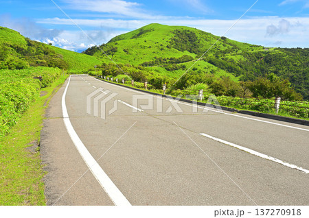 伊豆半島の西伊豆スカイライン 夏の草原風景 達磨山 伊豆半島の西伊豆スカイライン 夏の草原風景 達磨山 137270918