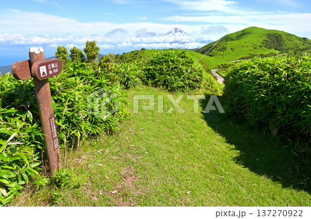 伊豆半島の伊豆山稜線歩道　夏の古稀山山頂より望む富士山と達磨山 137270922