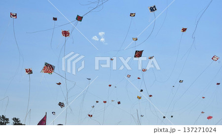 浜松まつり2025凧揚げ合戦 137271024