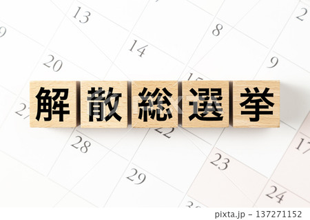 「解散総選挙」と書かれたブロックとカレンダー 「解散総選挙」と書かれたブロックとカレンダー 137271152