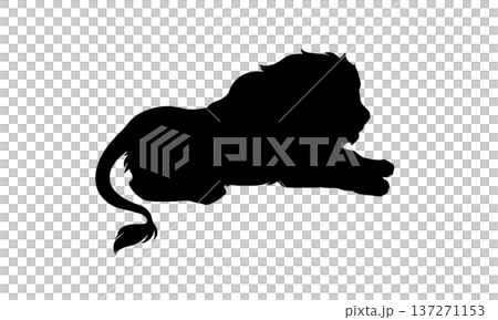 伏せるライオンのシルエット 137271153
