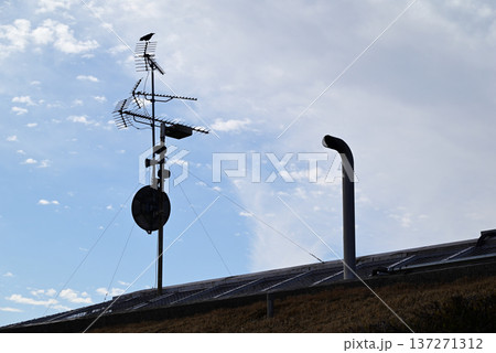鳥の止まったUHFアンテナと晴れた空 鳥の止まったUHFアンテナと晴れた空 137271312