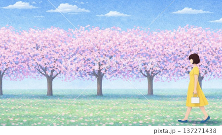 桜並木を歩く黄色いワンピースの女性 137271438