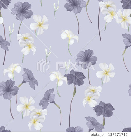 Floral seamless pattern, ruellia tuberosa and plumeria on purple Floral seamless pattern, ruellia tuberosa and plumeria on purple 137271715