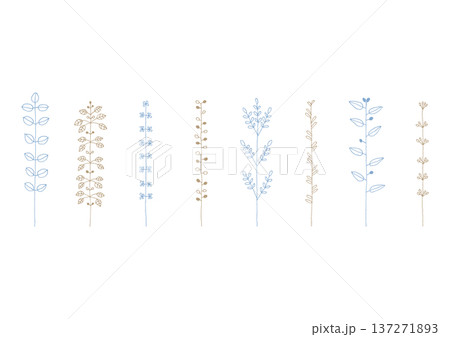 マメやカタバミ等の植物をイメージした手描きの線画イラストセット1(青と茶色) マメやカタバミ等の植物をイメージした手描きの線画イラストセット1(青と茶色) 137271893