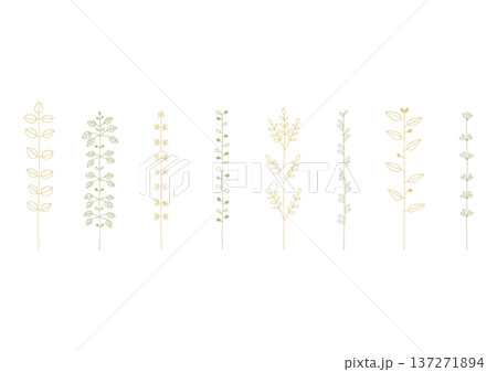 マメやカタバミ等の植物をイメージした手描きの線画イラストセット1(黄色と緑) マメやカタバミ等の植物をイメージした手描きの線画イラストセット1(黄色と緑) 137271894