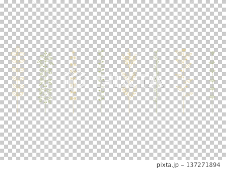 マメやカタバミ等の植物をイメージした手描きの線画イラストセット1(黄色と緑) マメやカタバミ等の植物をイメージした手描きの線画イラストセット1(黄色と緑) 137271894