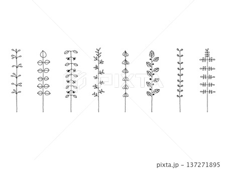 マメやカタバミ等の植物をイメージした手描きの線画イラストセット2（黒） 137271895