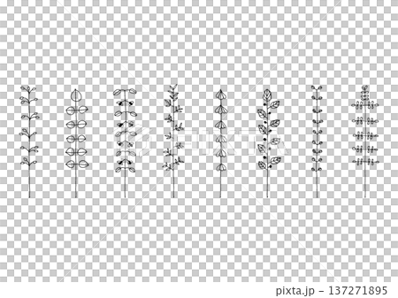 マメやカタバミ等の植物をイメージした手描きの線画イラストセット2（黒） 137271895