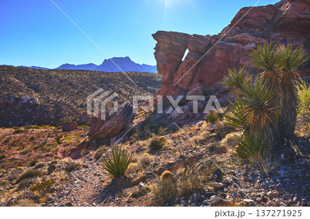 Red Rock Canyon Guardian Angel Rock Formation and Joshua Tree in Sunlit Nevada Desert Red Rock Canyon Guardian Angel Rock Formation and Joshua Tree in Sunlit Nevada Desert 137271925