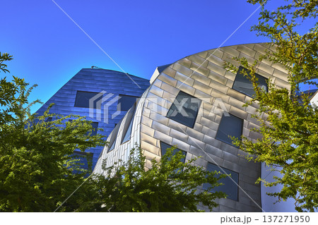 Contemporary Metal Architecture with Trees and Blue Sky in Las Vegas Nevada Contemporary Metal Architecture with Trees and Blue Sky in Las Vegas Nevada 137271950