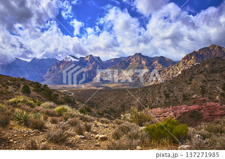 Red Rock Canyon Mountains and Desert Landscape with Keystone Thrust Trail Nevada 137271985
