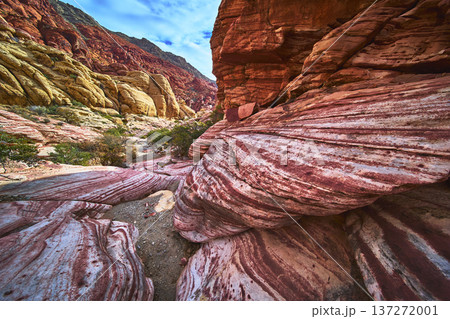 Red Rock Canyon Layered Sandstone Formations and Desert Vegetation Nevada Red Rock Canyon Layered Sandstone Formations and Desert Vegetation Nevada 137272001
