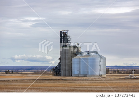 Grain elevator in spring field under clouds in silent prairies. 137272443