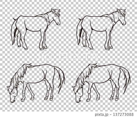 Horse Coloring Set 137273088