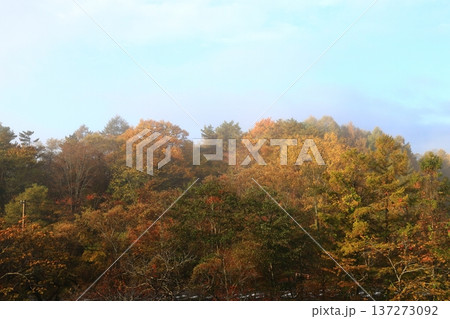 裏磐梯の紅葉 裏磐梯の紅葉 137273092