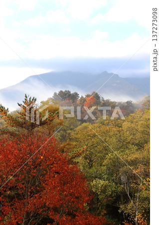 裏磐梯の紅葉 タテ位置 裏磐梯の紅葉 タテ位置 137273098