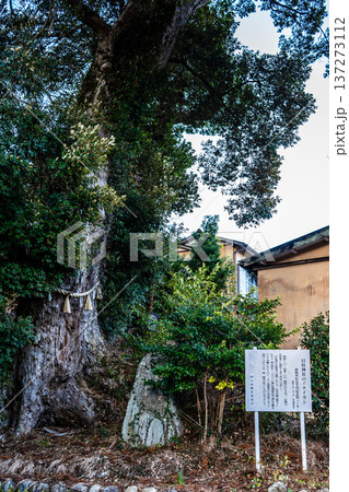 修善寺　日枝神社【静岡県伊豆市】 137273112