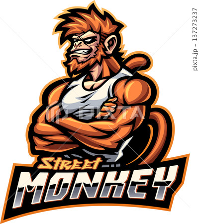 Street monkey esport mascot logo design 137273237