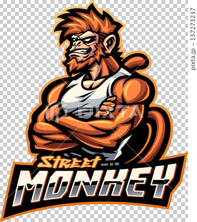 Street monkey esport mascot logo design 137273237