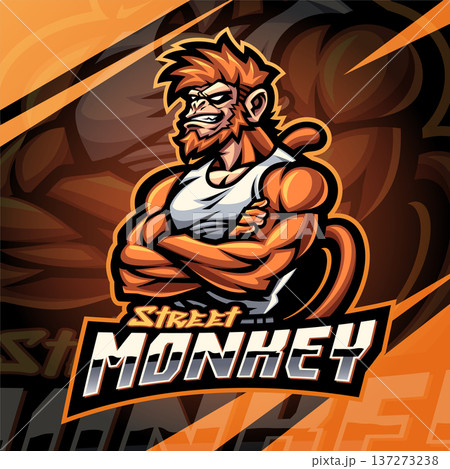 Street monkey esport mascot logo design Street monkey esport mascot logo design 137273238