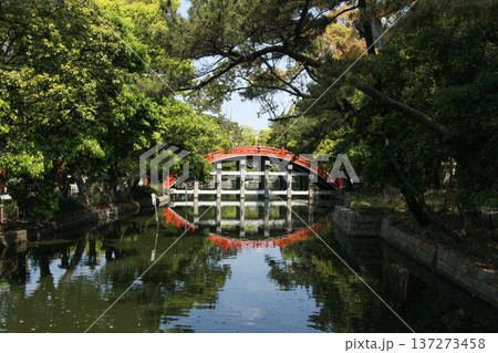 大阪・住吉大社・反橋（太鼓橋） 137273458