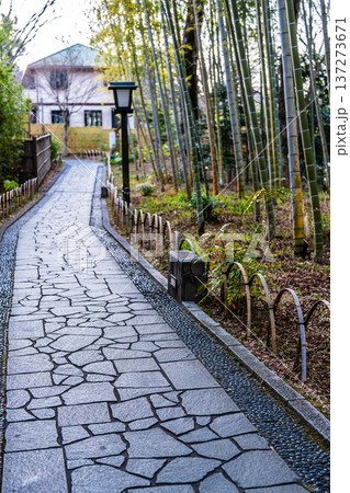 修善寺　竹林の小径【静岡県伊豆市】 137273671