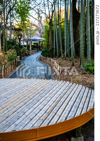 修善寺　竹林の小径【静岡県伊豆市】 137273672