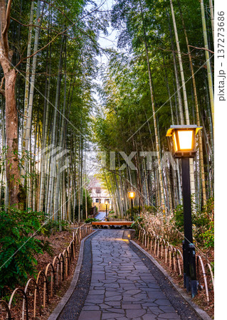 修善寺　竹林の小径【静岡県伊豆市】 137273686