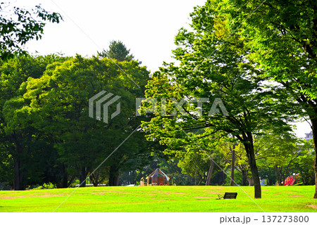 《愛知県》名古屋市 名城公園 《愛知県》名古屋市 名城公園 137273800
