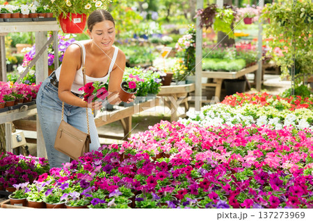 woman visitor of flower boutique examines flowers of petunia 137273969