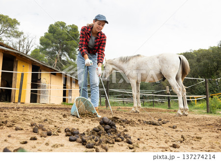 Girl cleans up horse poop in a horse pasture using broom and dustpan Girl cleans up horse poop in a horse pasture using broom and dustpan 137274214