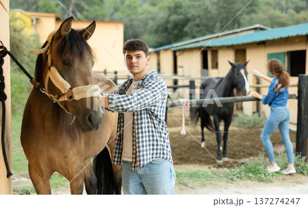 Male worker of stable grooming thoroughbred horse, brushing coat and of calmly standing obedient horse Male worker of stable grooming thoroughbred horse, brushing coat and of calmly standing obedient horse 137274247