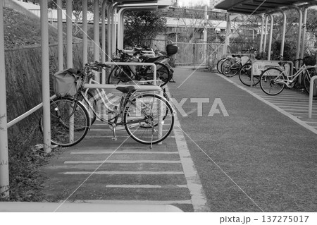 自転車置き場（白黒写真） 137275017