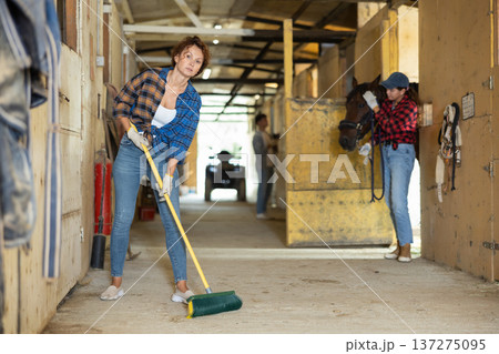 Female employee sweeps floors in stable corridor, cleans passage between stalls. Female employee sweeps floors in stable corridor, cleans passage between stalls. 137275095